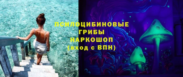 стафф Абаза