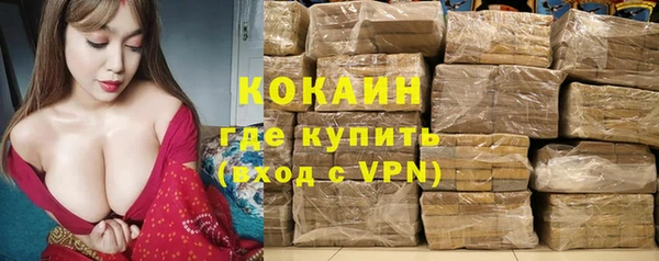 стафф Абаза