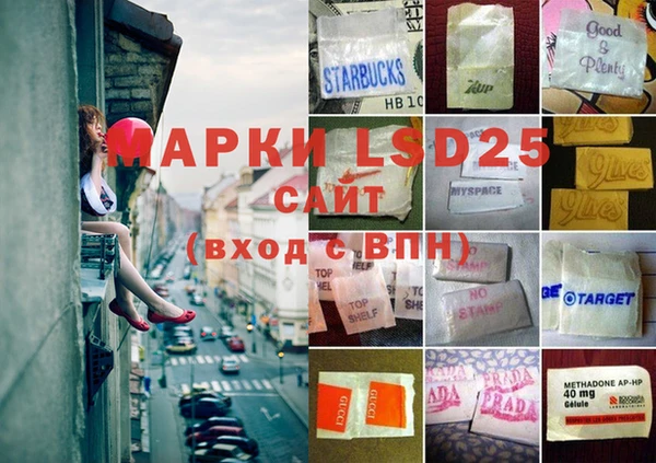 ПСИЛОЦИБИНОВЫЕ ГРИБЫ Алзамай